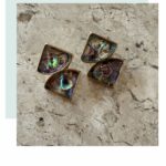 Aurora Abalone Stud Earrings